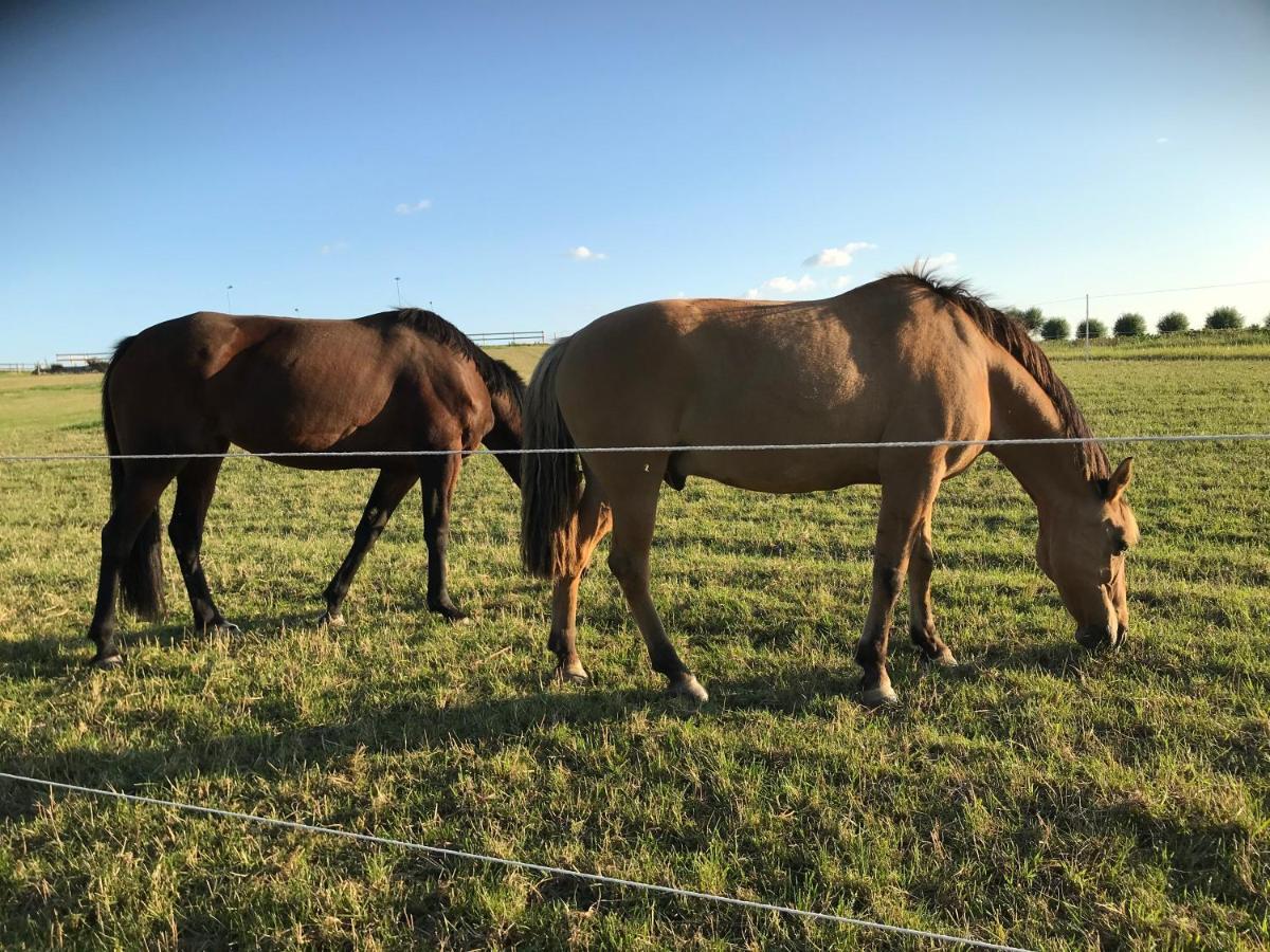 SkivarpGlamping Och Gardslagenhet Mellan Himmel Och Havアパートメント エクステリア 写真
