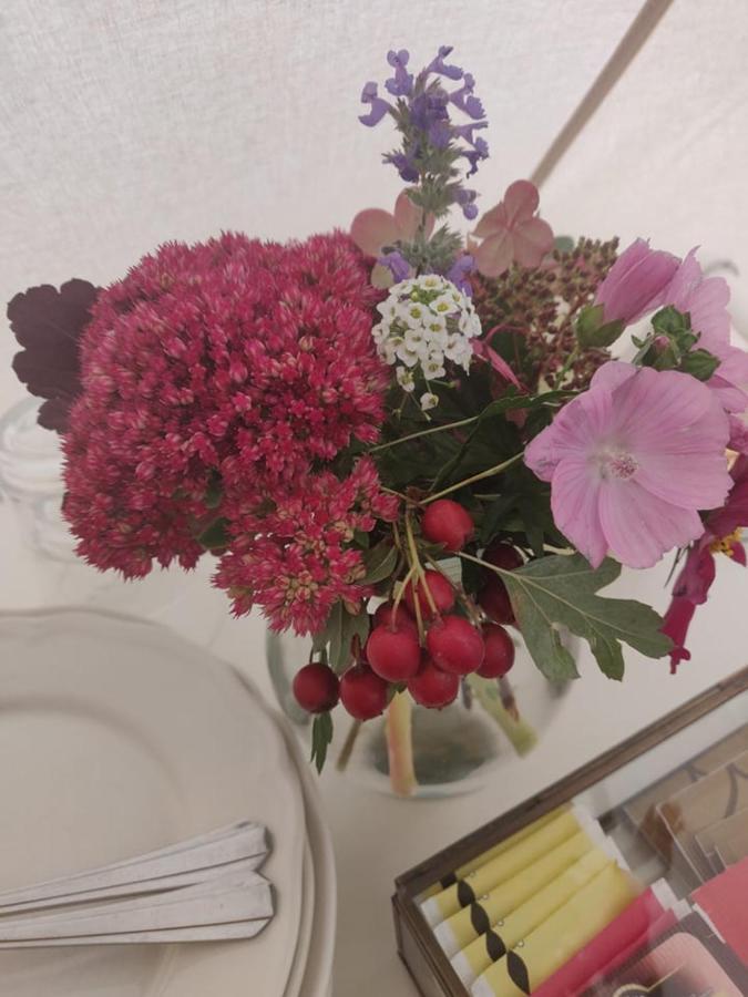 SkivarpGlamping Och Gardslagenhet Mellan Himmel Och Havアパートメント エクステリア 写真